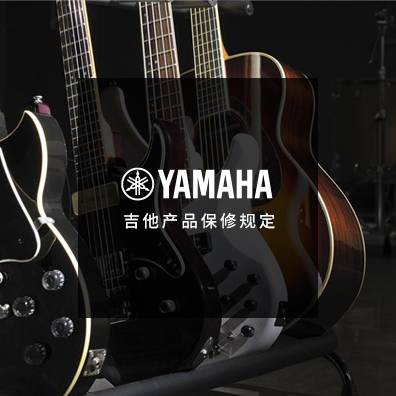 吉他、贝斯和音箱