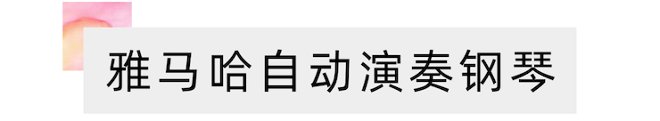活动报道 | 远程艺术教育大师课活动—环球360教育家崔岚大师课