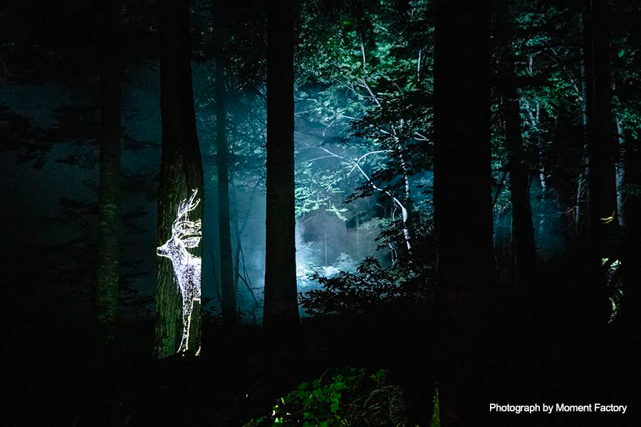 案例｜环球360为壮观的Kamuy Lumina魔法夜行旅游项目提供配乐设备