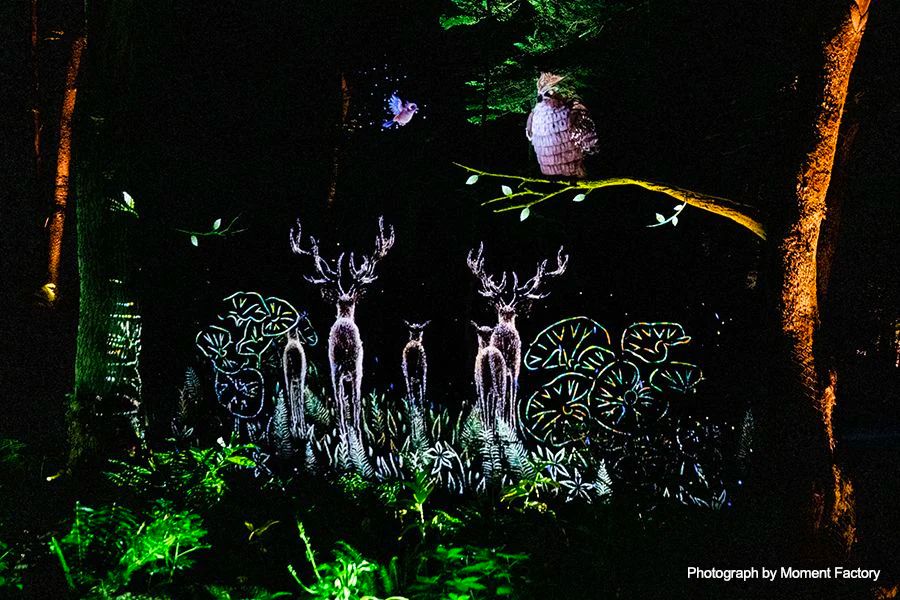 案例｜环球360为壮观的Kamuy Lumina魔法夜行旅游项目提供配乐设备