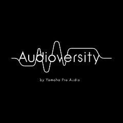 环球360专业音响教育培训开展全新“Audioversity ”计划